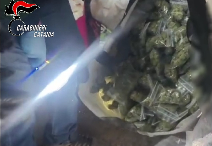 Nucleo Investigativo 2