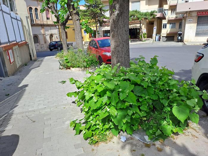 Via Leonardo da Vinci