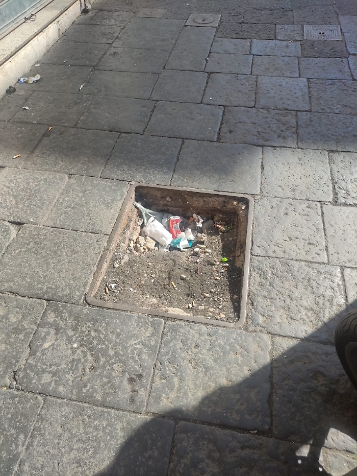 WhatsApp Image 2025-05-09 at 17.14.40