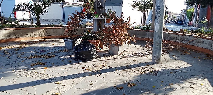 WhatsApp Image 2025-05-10 at 07.44.18 (1)