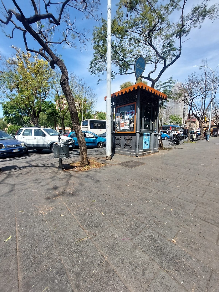 WhatsApp Image 2025-05-10 at 11.29.07