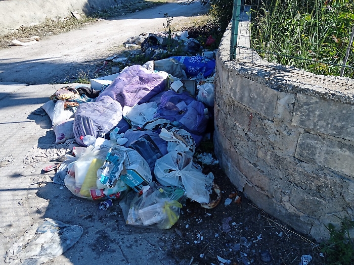 WhatsApp Image 2025-05-11 at 07.22.02