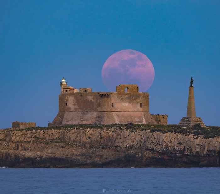 WhatsApp Image 2025-05-13 at 11.18.57