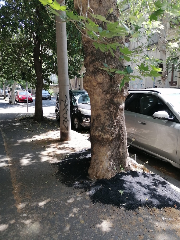 WhatsApp Image 2025-05-14 at 14.13.41 (1)