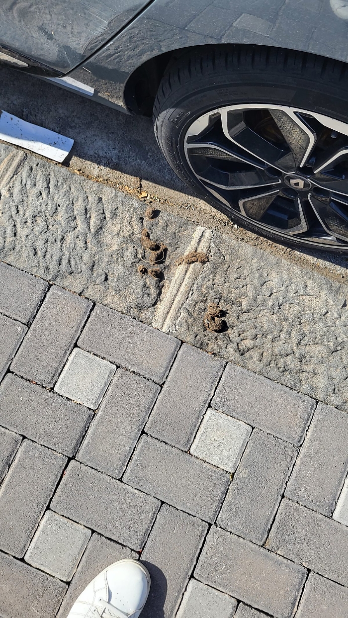 WhatsApp Image 2025-05-16 at 18.53.05