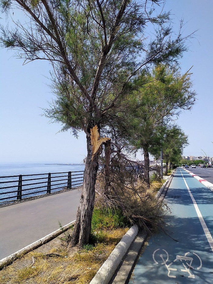 WhatsApp Image 2025-05-21 at 12.59.31