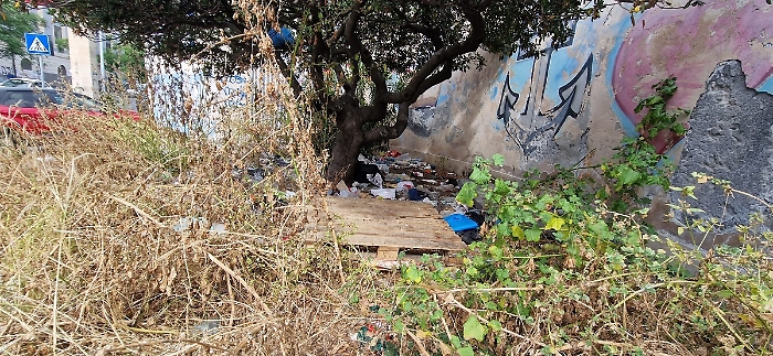 WhatsApp Image 2025-05-25 at 15.10.08 (1)