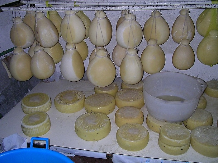 SANYO DIGITAL CAMERA