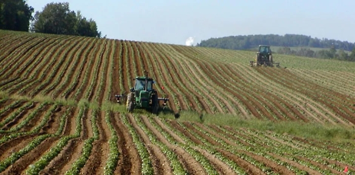 Progetti PSR Sicilia a rischio per scadenze sovrapposte e malfunzionamenti del SIAN