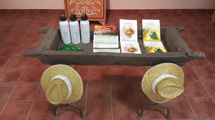 Ebat Ciala Catania, apprezzamento per l&rsquo;ordinanza regionale a tutela dei lavoratori esposti al caldo: &ldquo;Scelta giusta&rdquo;