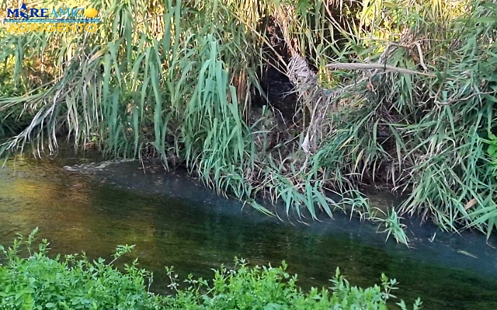 Fogna sversa sul fiume Akragas, nuovo allarme inquinamento ad Agrigento