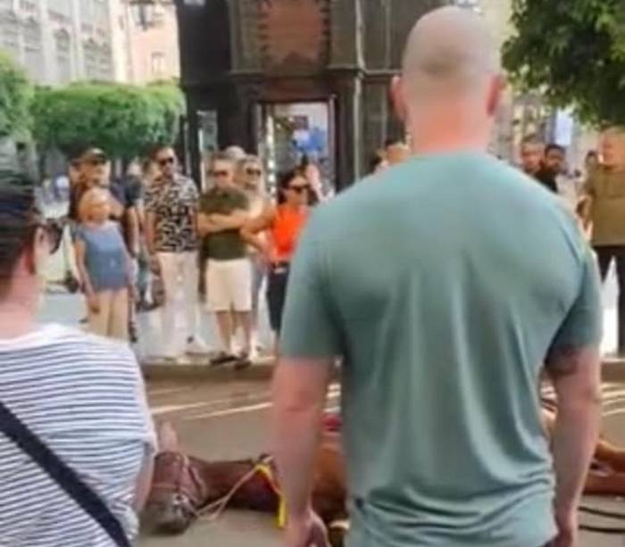 Cavallo di un calesse turistico stramazza davanti al Teatro Massimo
