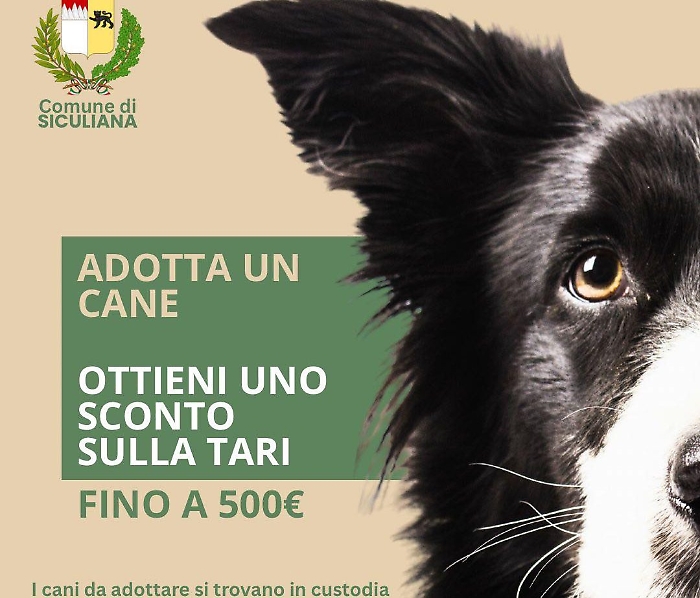 Sconto sulla Tari a chi adotta un cane a Siculiana
