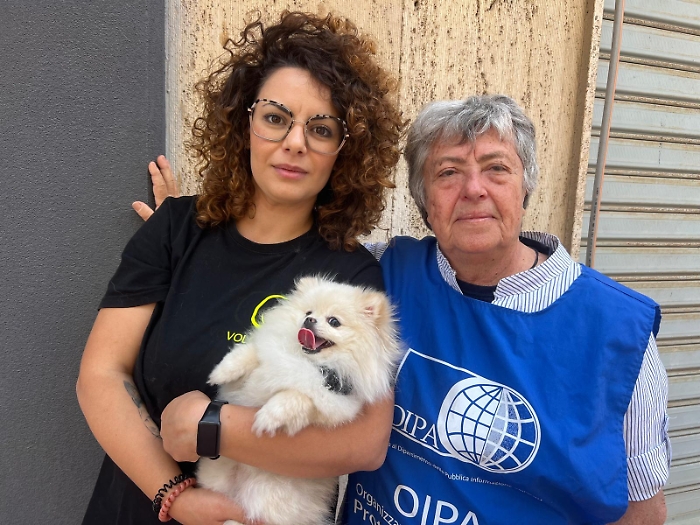 Gela, arriva l'estate e anche l'abbandono di animali: &laquo;Siamo stanchi, l'Asp deve intervenire con le sterilizzazioni a tappeto&raquo;