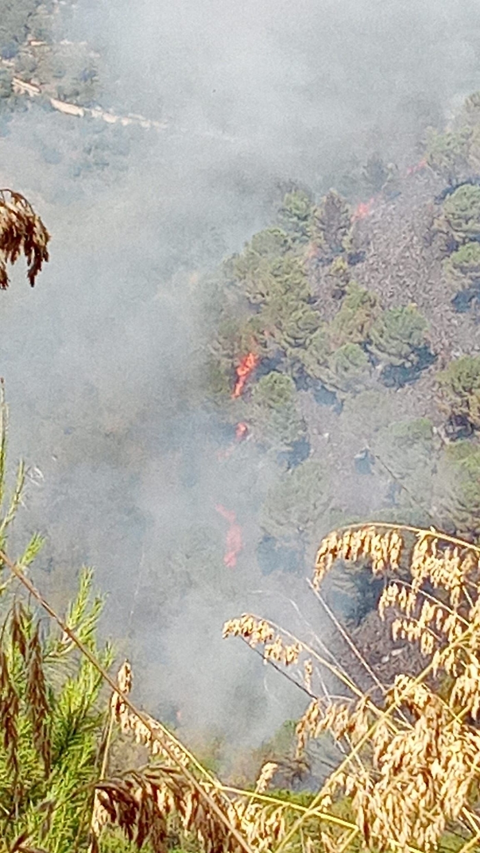 Monterosso, vasto incendio in contrada Casasia
