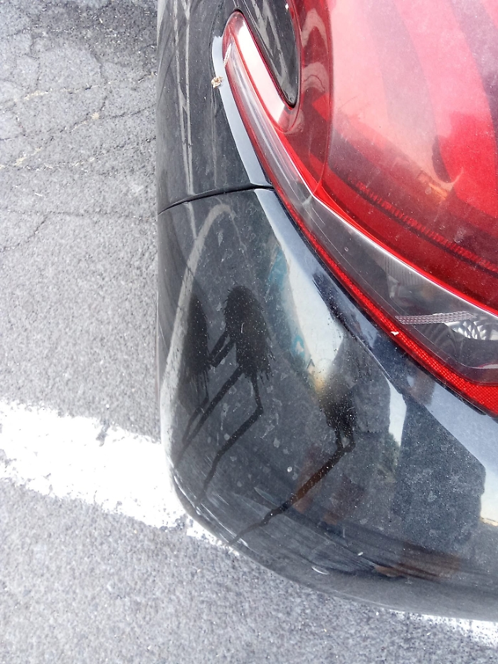 Lancio di uova contro auto del presidente di Arcigay Siracusa