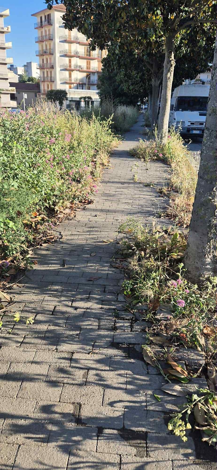 Ragusa, la consigliera Caruso: "Stato di abbandono e incuria in numerose vie della nostra citt&agrave;"