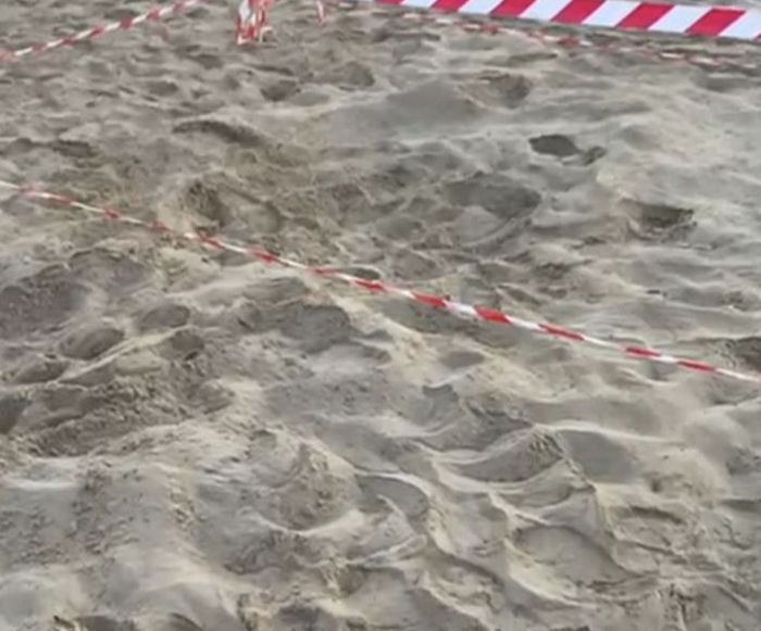 Modica, primo nido di tartarughe marine sulla spiaggia di Marina