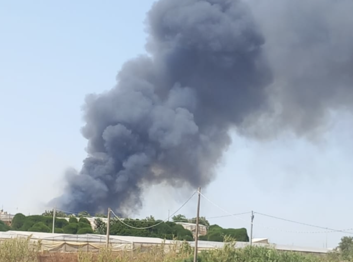 Ragusa, incendio a Randello. Un intero vivaio in cenere
