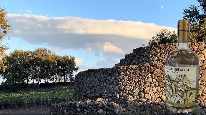 Rosa Fresca Aulentissima: una grappa siciliana si aggiudica la Gold Medal all&rsquo;Alambicco D&rsquo;Oro 2025