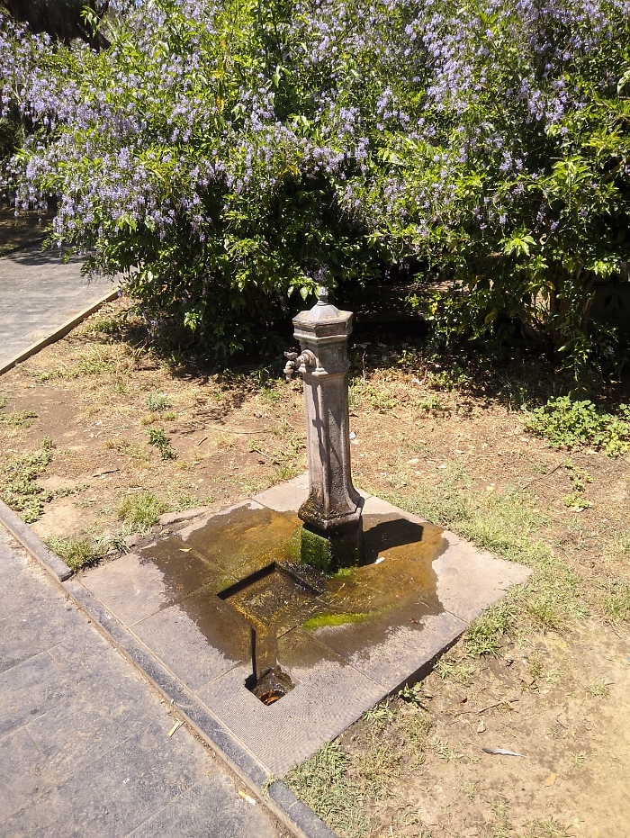 Catania: spreco d'acqua al parco Falcone