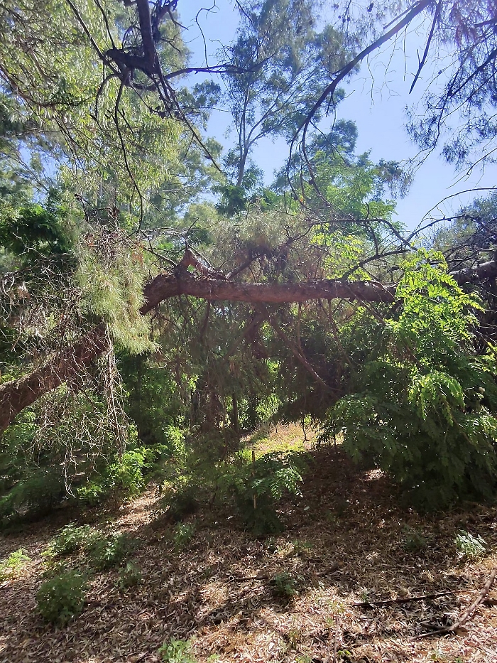 Marina di Cottone. Parcheggio a 9 euro e zero servizi!