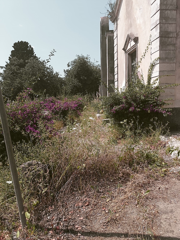 Cimitero di Catania nel degrado: &laquo;Una giungla di incuria&raquo;