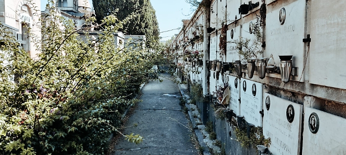 Cimitero Monumentale di Catania: un viale nel degrado tra incuria e pericoli