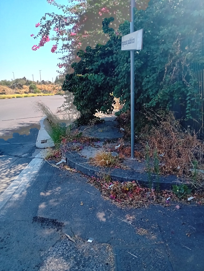 Catania, Piscina Nesima: marciapiede invaso da erbacce, pedoni a rischio
