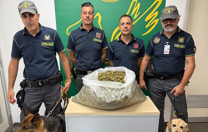 Dall'estero marijuana di tipo skunk nascosta negli scaldabagni: la Gdf ne sequestra 12 chili