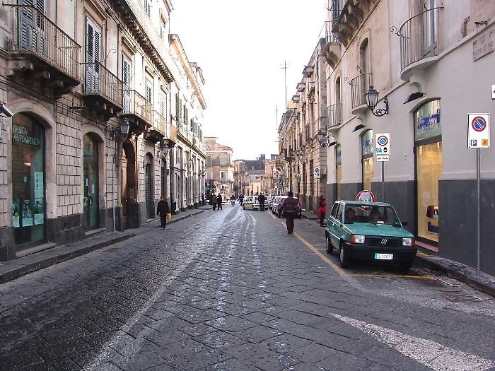 Acireale, allarme blatte: &laquo;La citt&agrave; &egrave; invasa, serve deblattizzazione urgente&raquo;