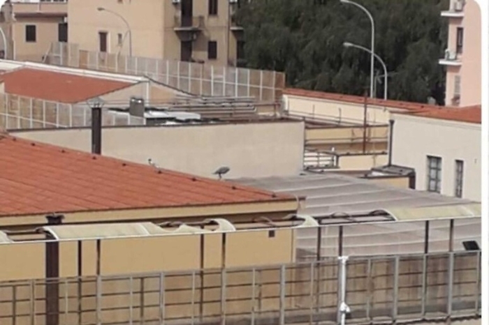 Rivolta nel carcere minorile Malaspina a Palermo: detenuti danno fuoco ai materazzi, due ragazzi intossicati