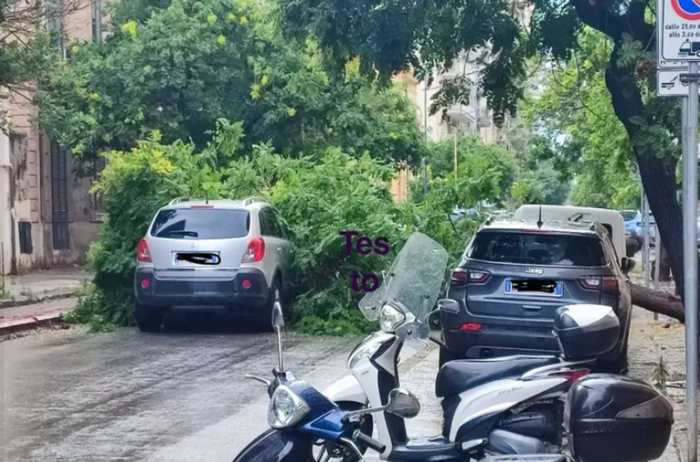 Il maltempo allaga Palermo: acqua alta nelle strade e alberi abbattuti su auto