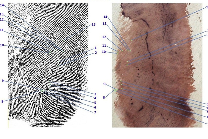 070408b04c21defa00e261aadb44c720