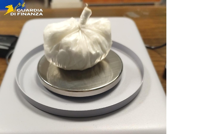 10072025_035338_foto involucro2