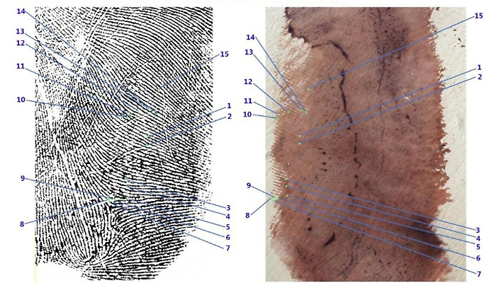 1751484062_f867858a9f1d99f8d0b8