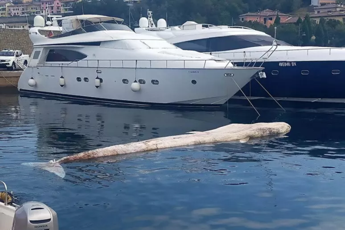 34639a78659824734012187422fa88ea