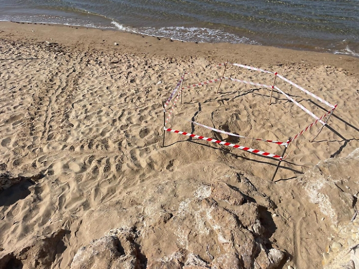 515009212_1232004832049815_2473375641981489406_n