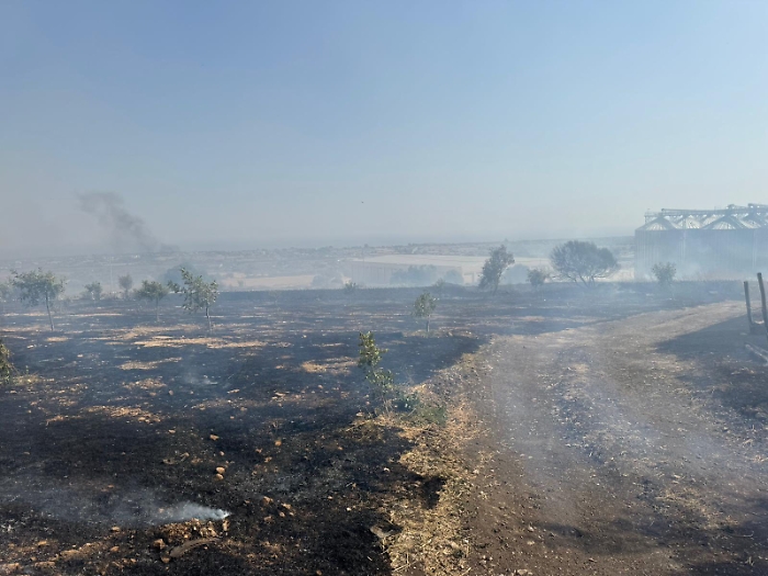 520393474_1161558619342088_213834154410220438_n