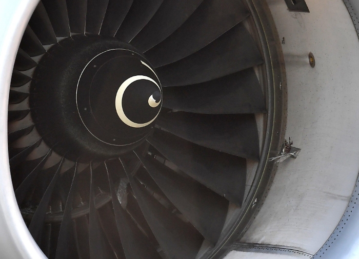 Bird strike all'aeroporto di Palermo: il volo per Milano colpisce un gabbiano in decollo e non parte