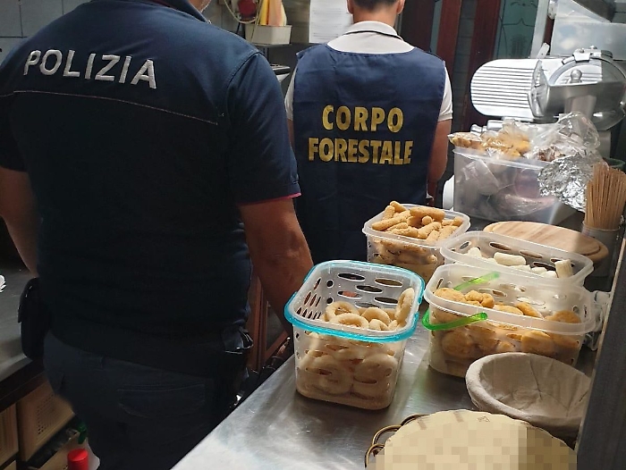 CONTROLLI A TAPPETO A BIANCAVILLA, ELEVATE SANZIONI A PUB E CHIOSCHI DALLA TASK FORCE COORDINATA DALLA POLIZIA DI STATO. STRADE E PIAZZE PATTUGLIATE DAI POLIZIOTTI A TUTELA DELLA SICUREZZA