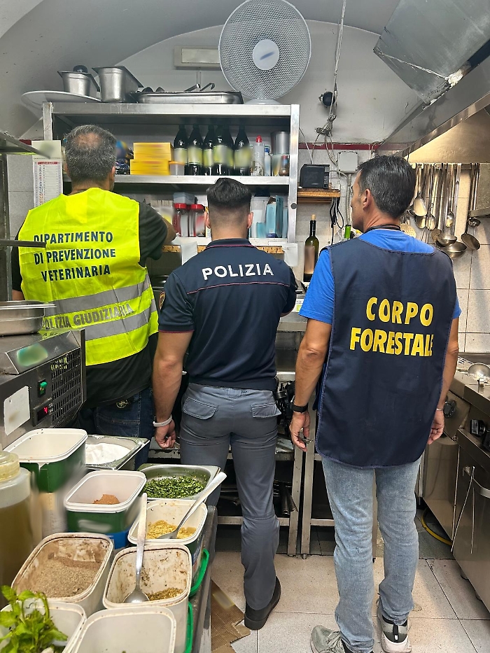 - CONTROLLI DELLA TASK FORCE COORDINATA DALLA POLIZIA DI STATO IN 2 RISTORANTI DI CAPO MULINI 1