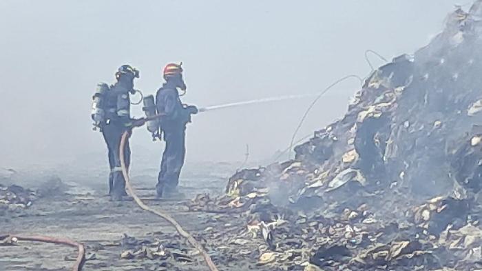 Immagine 2025-07-10 214848