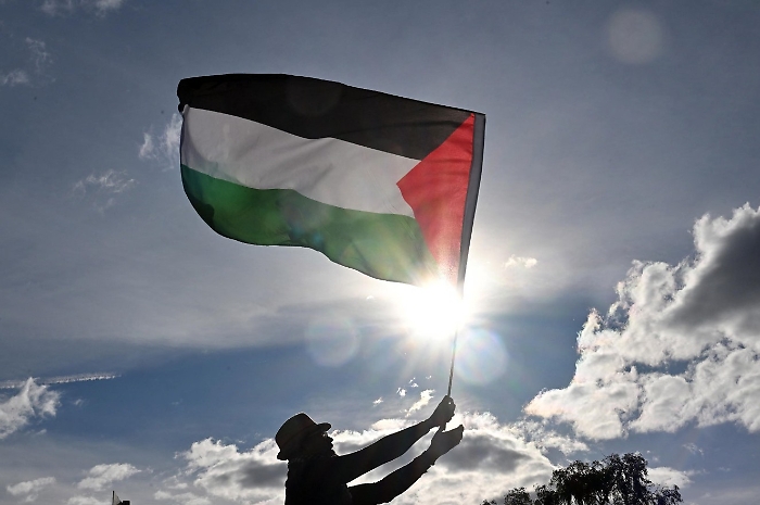 Immagine 2025-07-29 202952