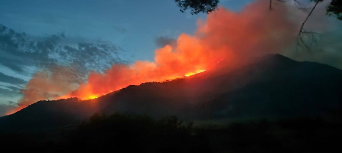 Incendio foto Giulia Pulizzi