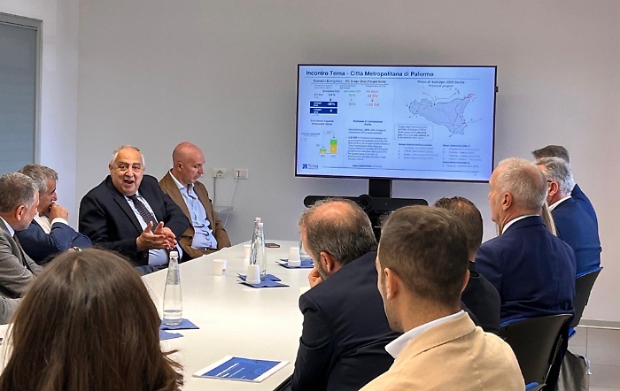 Incontro Terna e Sindaco Palermo