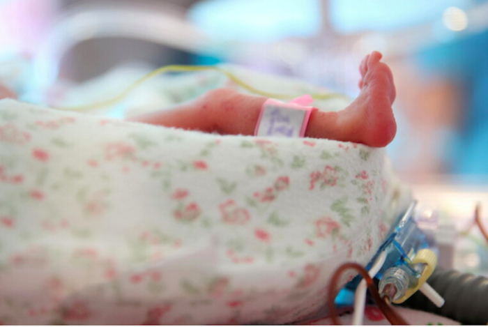 Schermata 2025-07-02 alle 10.17.36