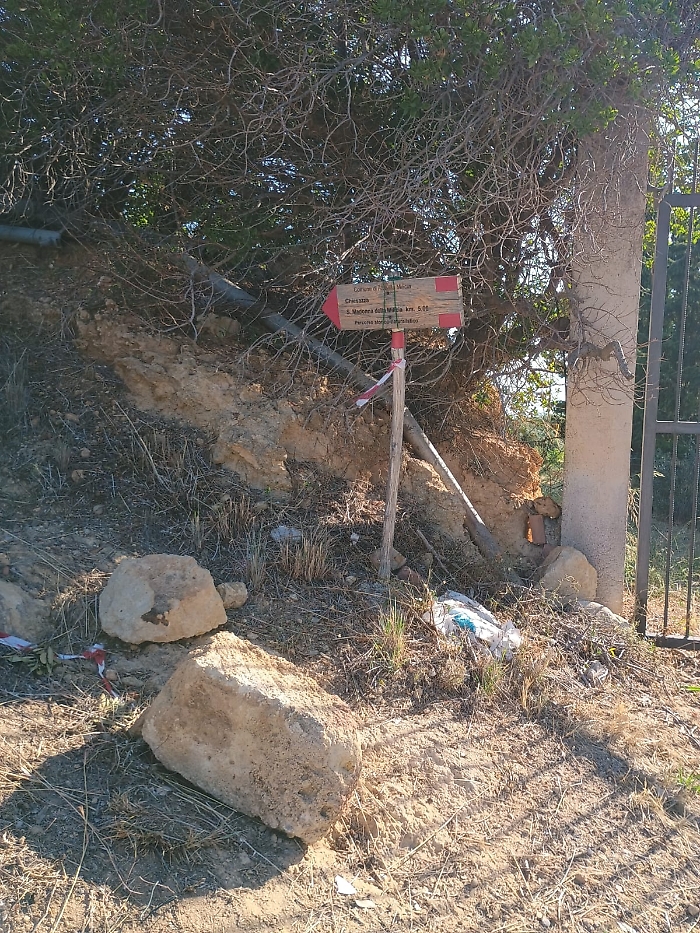 WhatsApp Image 2025-06-30 at 14.49.44