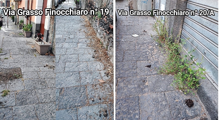 WhatsApp Image 2025-07-07 at 14.42.33