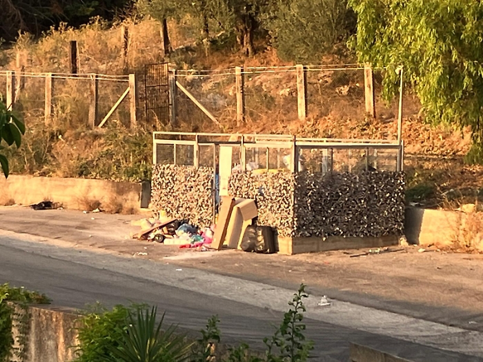 WhatsApp Image 2025-07-18 at 20.21.32